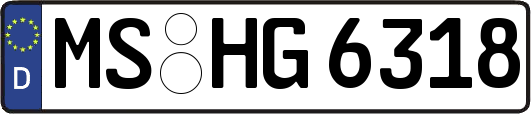 MS-HG6318