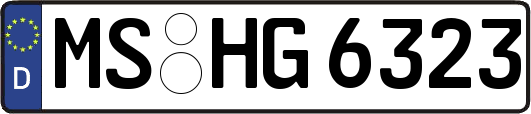 MS-HG6323