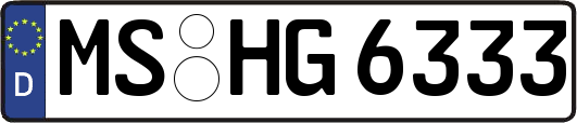 MS-HG6333