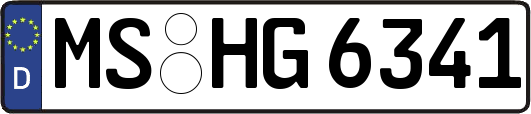 MS-HG6341