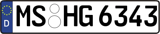 MS-HG6343