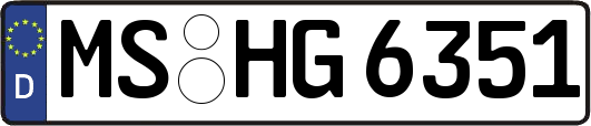 MS-HG6351