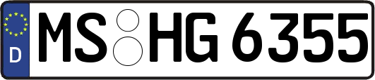 MS-HG6355