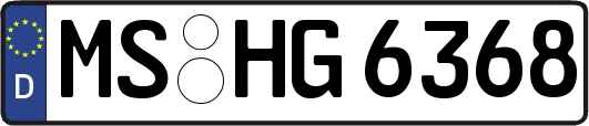 MS-HG6368