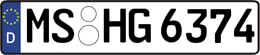 MS-HG6374