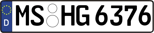 MS-HG6376