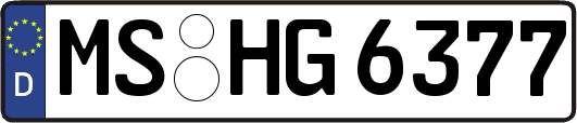 MS-HG6377
