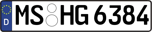 MS-HG6384