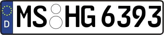 MS-HG6393