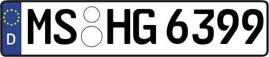 MS-HG6399