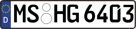 MS-HG6403