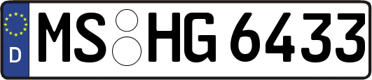 MS-HG6433