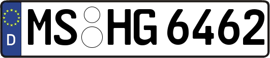 MS-HG6462