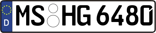 MS-HG6480