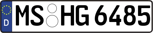 MS-HG6485