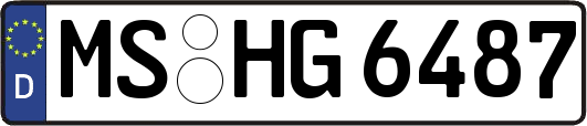 MS-HG6487