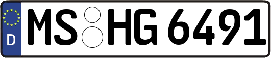 MS-HG6491