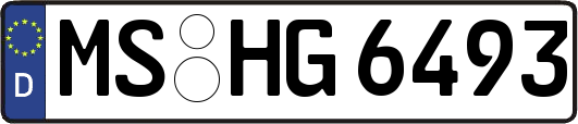 MS-HG6493