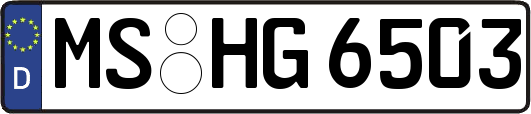 MS-HG6503