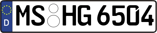 MS-HG6504