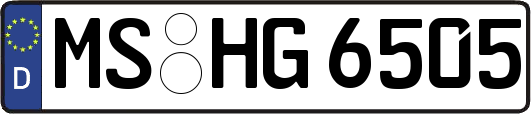 MS-HG6505