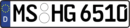 MS-HG6510