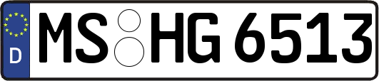 MS-HG6513