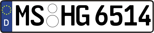 MS-HG6514