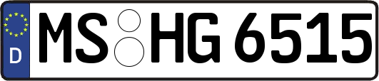 MS-HG6515