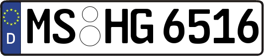 MS-HG6516