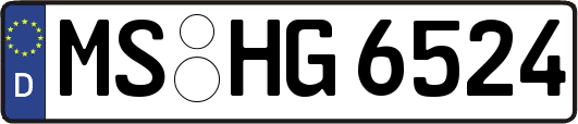 MS-HG6524