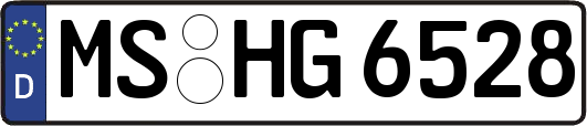 MS-HG6528