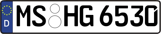 MS-HG6530