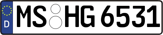 MS-HG6531