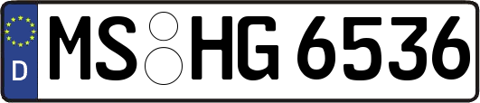 MS-HG6536