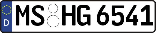 MS-HG6541