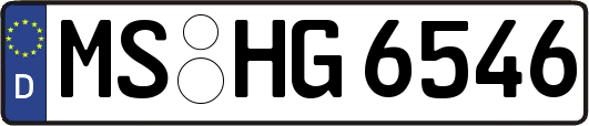 MS-HG6546