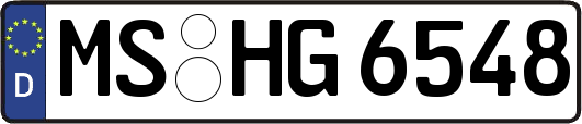 MS-HG6548