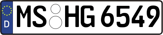 MS-HG6549