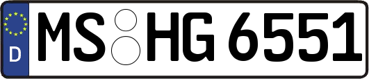 MS-HG6551