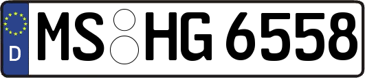 MS-HG6558