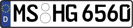 MS-HG6560