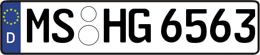 MS-HG6563