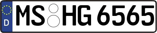 MS-HG6565