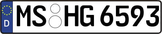 MS-HG6593