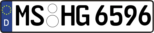 MS-HG6596