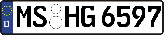 MS-HG6597