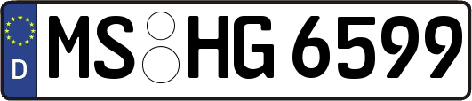 MS-HG6599