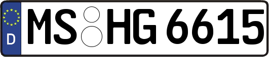 MS-HG6615