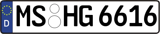 MS-HG6616